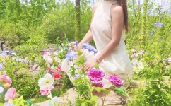 新岳乱合集500系列